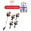 Пылесос HAUSLER Corded stik vacuum cleaner HLS-06TT5NCGBS золотистый + Электрочайник HAUSLER HLS-1803G золотистый