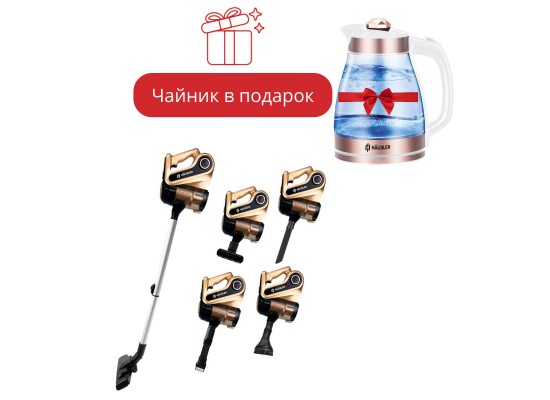 Пылесос HAUSLER Corded stik vacuum cleaner HLS-06TT5NCGBS золотистый + Электрочайник HAUSLER HLS-1803G золотистый